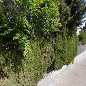 Escuela Infantil Pinos Puente, Institución educativa pública en Pinos Puente,Granada