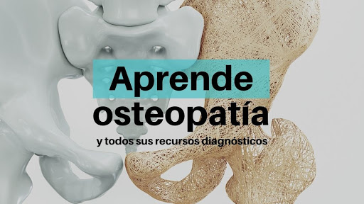 Escuela de Osteopatía de Madrid - EOM Cádiz, Escuela vocacional en Cádiz,Cádiz