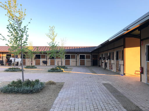 Escuela Hípica Madrid, Centro de diversion en San Martín de la Vega,Madrid
