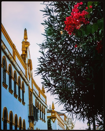 The British School Aljarafe, Escuela de inglés en Sanlúcar la Mayor,Sevilla