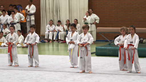 CLUB TAEKWONDO VVA. DEL PARDILLO, Escuela deportiva en Villanueva del Pardillo,Madrid