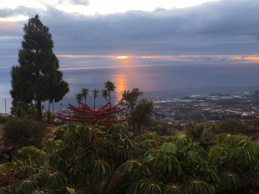 ACTIVE INTERSCHOOL SPAIN EXPERIENCE, Escuela de idiomas en Candelaria,Santa Cruz de Tenerife