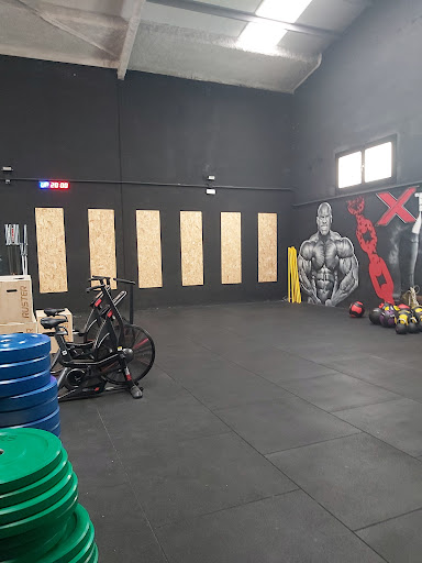 Elite Box Palau, Centro de gimnasia en Palau-solità i Plegamans,Barcelona