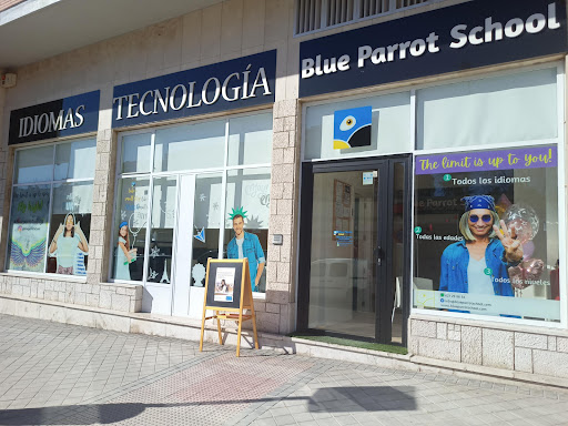 Blue Parrot School Madrid - Escuela de idiomas, Escuela de idiomas en Madrid,Madrid