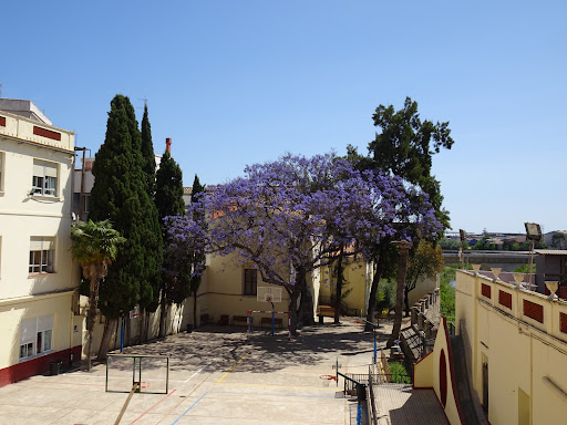 Colegio Carmelites, Escuela charter en Gandia,Valencia