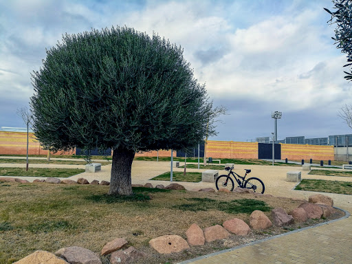 Escuela de Fútbol Puente Genil, Escuela en Puente Genil,Córdoba