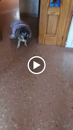 C.P. Principe Don Juan Manuel, Escuela en Villena,Alicante