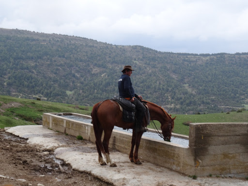 Hípica Mas Batlló Abellá, Escuela de equitación en Abella,Girona