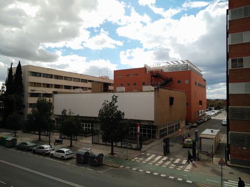 Instituto de Idiomas - Universidad de Sevilla, Universidad en Seville,Sevilla