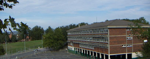 Colegio Público Artaza los Pinos, Institución educativa pública en Leioa,Bizkaia