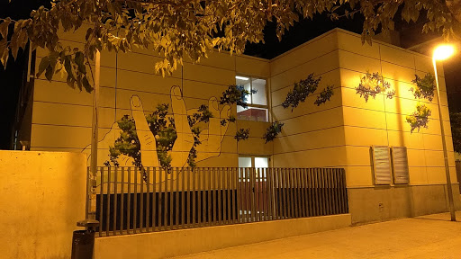 CEIP Joan G. Ripollés, Institución educativa pública en Castellón de la Plana,Castellón