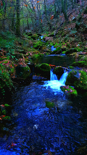 C.E.I.P. Mosteiro de Caaveiro, Institución de Educación Pública en As Neves,A Coruña