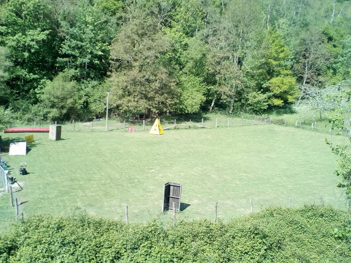 Carcedog Escuela de Adiestramiento, Escuela en Cangas de Onís,Asturias