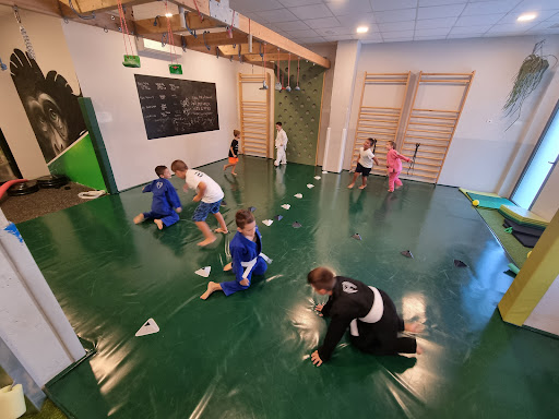 La Vila Joiosa Brazilian Jiu Jitsu, Escuela de artes marciales en Villajoyosa,Alicante