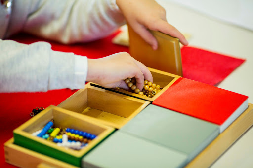 Montessori Palau Figueres, Institución educativa privada en Figueres,Girona