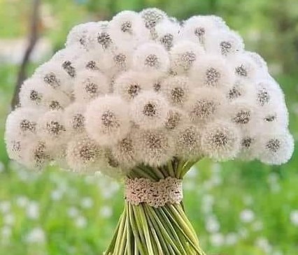 Academia de Terapias Naturales de Tarragona, El centro de bienestar en L'Esplai del Penedès,Tarragona