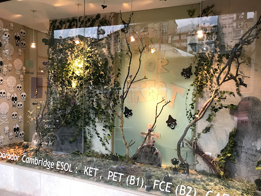 Words School, Escuela de idiomas en Berga,Barcelona