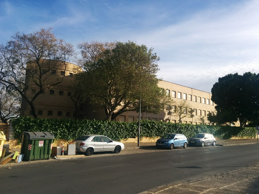 Public school Montealegre, Escuela bilingüe en Jerez de la Frontera,Cádiz