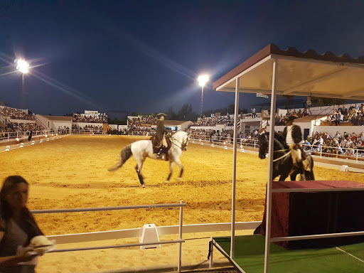 Pista Hípica 
