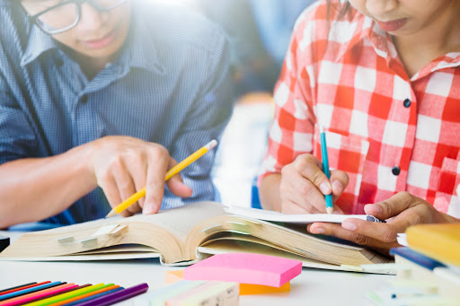 Clases Inglés Rosa, Servicio de tutoría en Sevilla la Nueva,Madrid