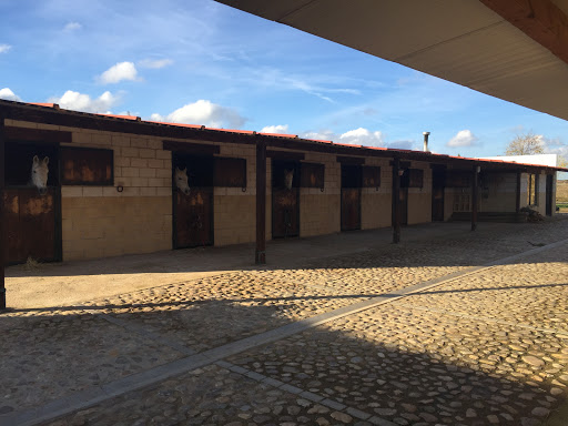 Yeguada Álvaro Dongil, Escuela en Yunquera de Henares,Guadalajara