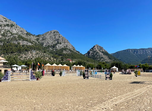 Club Hípico La Gubía, Escuela de equitación en Bunyola,Baleares