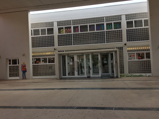 IES 