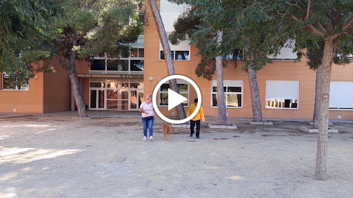 IES Sant Vicent, Escuela secundaria en Sant Vicent del Raspeig,Alicante