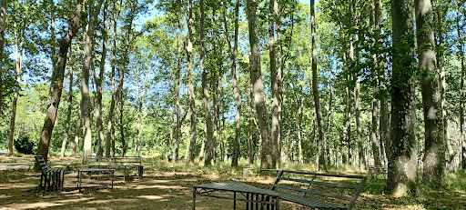 Institut Narcís Xifra i Masmitjà, Escuela secundaria en Girona,Girona