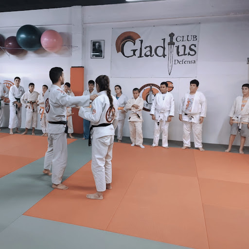 Club Gladius Defensa Constanti, Club de judo en Constantí,Tarragona