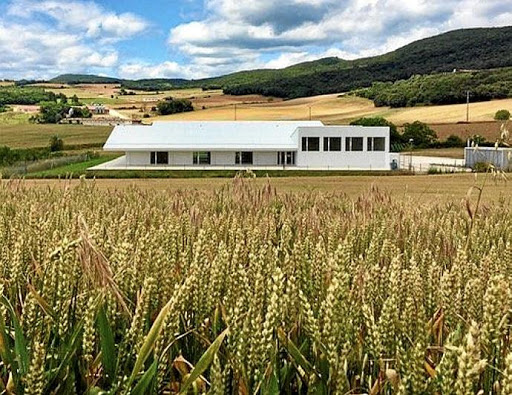 Colegio de Educación Infantil y Primaria de Abarzuza, Institución educativa pública en Abárzuza,Navarra