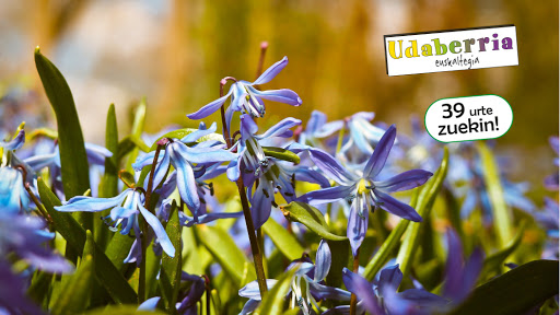 Udaberria Euskaltegia, Escuela de idiomas en Vitoria-Gasteiz,Álava