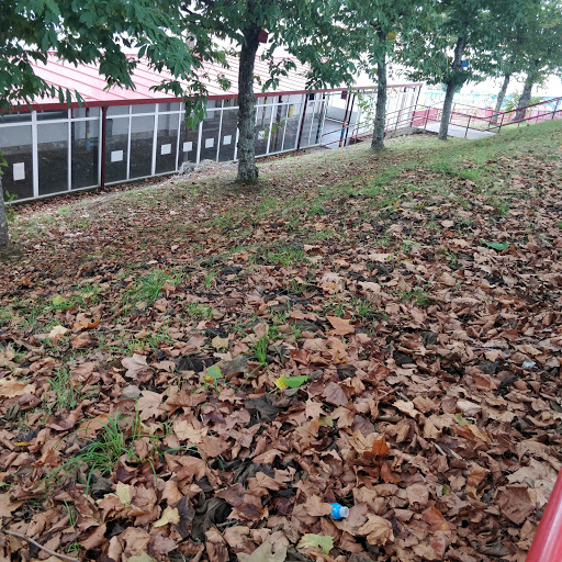 C.E.I.P. Monte Dos Postes, Institución de Educación Pública en Santiago de Compostela,A Coruña