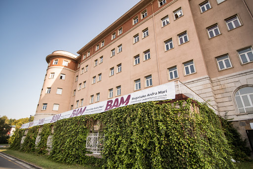 Escuela Universitaria de Magisterio Begoñako Andra Mari, BAM, Universidad en Derio,Bizkaia