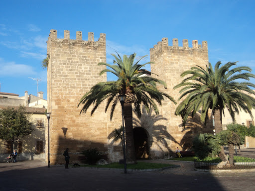 Colegio Públic Porta des Moll, Institución educativa pública en Alcúdia,Baleares