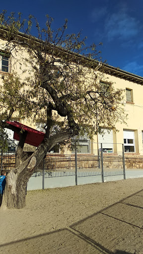 Escola Aeso - Zer Pallars Jussà, Escuela en Isona,Lleida
