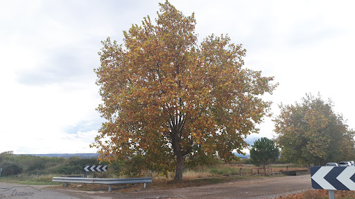 Public school Vicenta Maria, Institución educativa pública en Cascante,Navarra