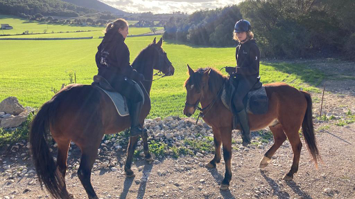 Centro de adiestramiento Toni Puig, Escuela de equitación en Randa,Baleares