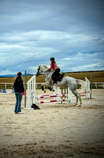 Centro Ecuestre Cizur, Escuela de equitación en Astráin,Navarra