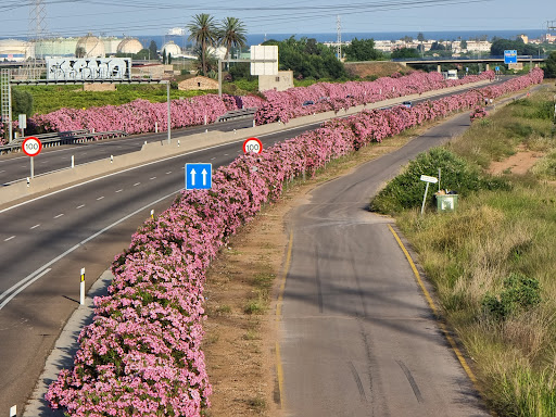 Escola Infantil Los Angeles, Institución educativa privada en Castellón de la Plana,Castellón