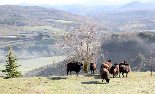 Naturaren Lagunak, Escuela agrícola en Vitoria-Gasteiz,Álava