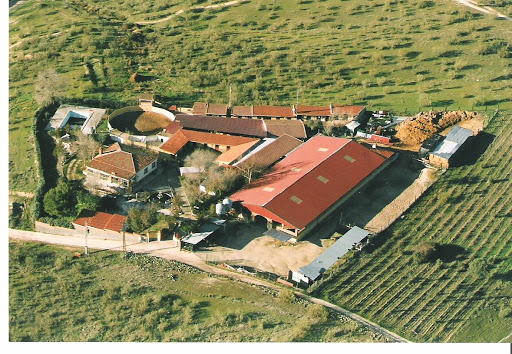 Hipica Yeguada Las Perdices, Escuela de deportes en Villamanta,Madrid