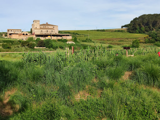 INS Torre de Malla, Escuela secundaria en Parets del Vallès,Barcelona
