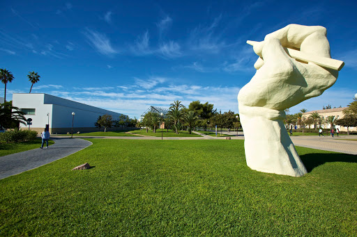 Centro Superior de Idiomas de la Universidad de Alicante, Escuela de idiomas en Sant Vicent del Raspeig,Alicante