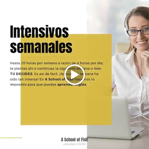 A School of Fish Language Center, Escuela de inglés en Madrid,Madrid