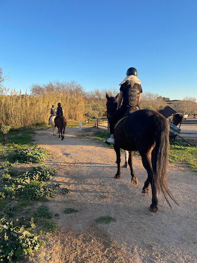 Club Hípic Renau, Escuela de equitación en Renau,Tarragona