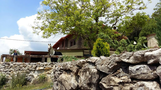 Centro Ecuestre Las Dolinas, Escuela de equitación en Arredondo,Cantabria