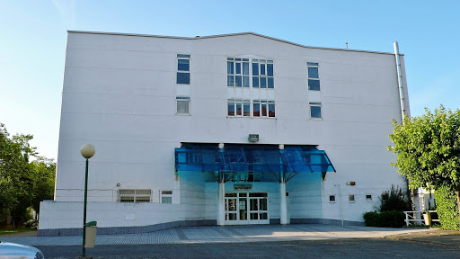 I.E.S. (Instituto de Educación Secundaria) 