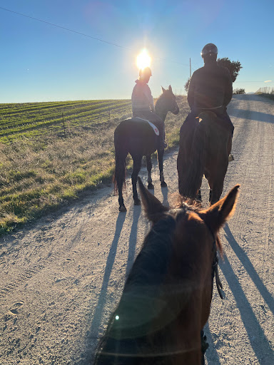 Escuela Ponis Madrid, Club de pony en Madrid,Madrid