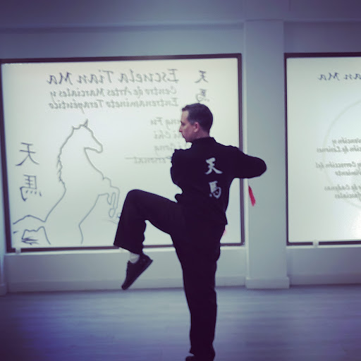 Escuela Tian Ma, Escuela en Quart de Poblet,Valencia